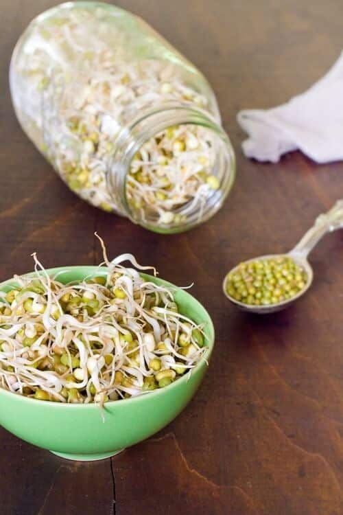 Mung Bean Sprouts, How to Sprout Mung Beans