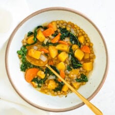 Butternut Squash Lentil Soup-image