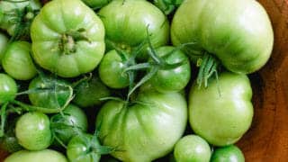 Green tomatoes