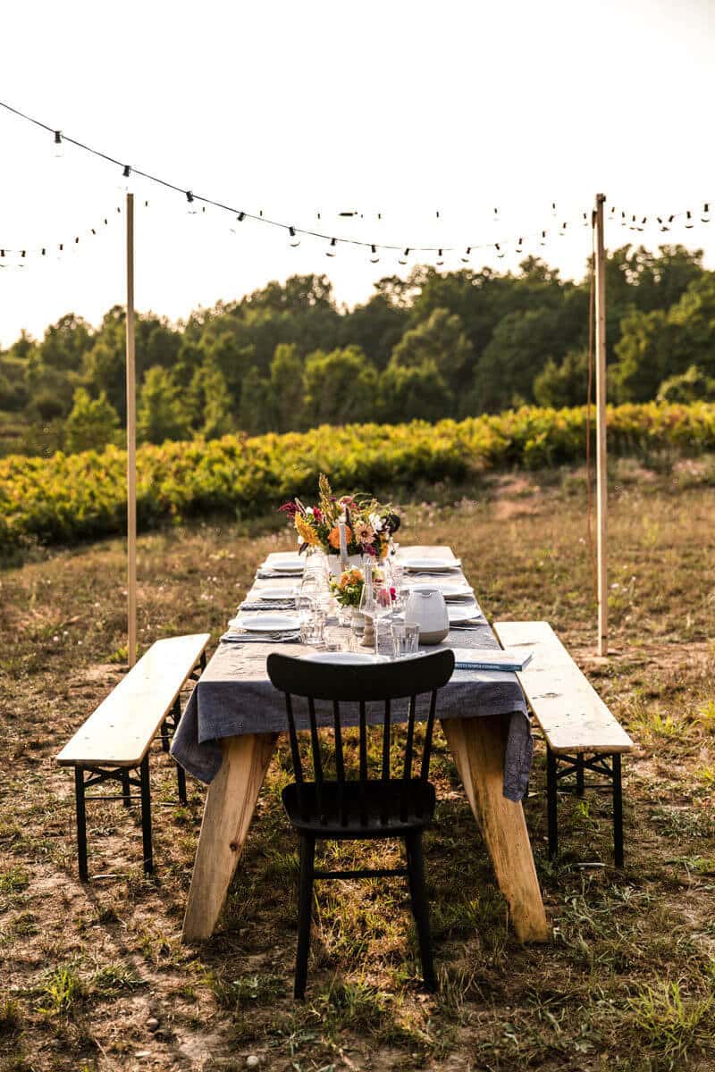 How to host a backyard party | backyard party ideas | outdoor dinner party | cookbook club