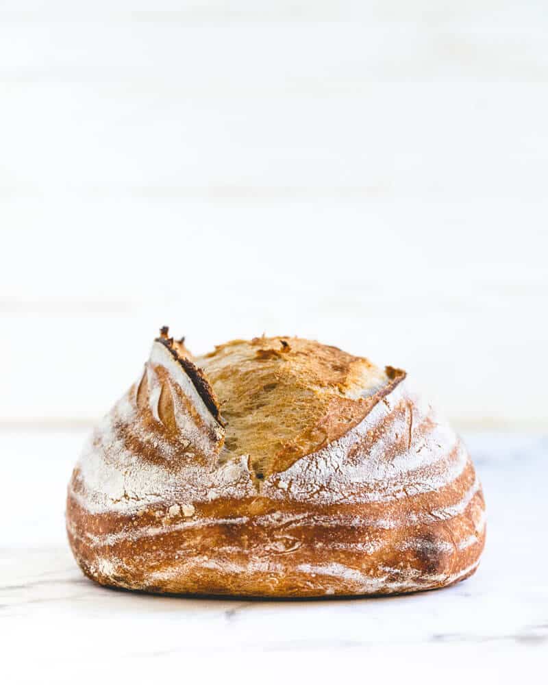 how-to-feed-sourdough-starter-a-couple-cooks