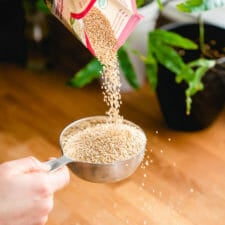 Quinoa to Water Ratio-image