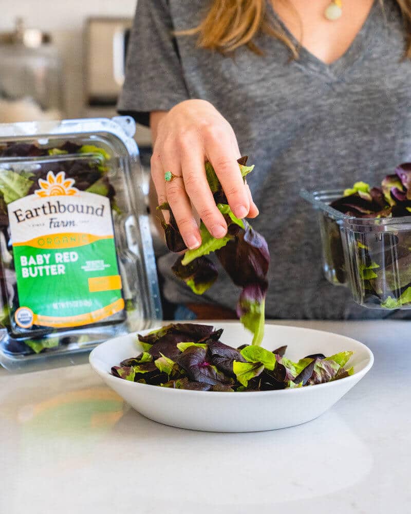 Baby Red Butter Lettuce