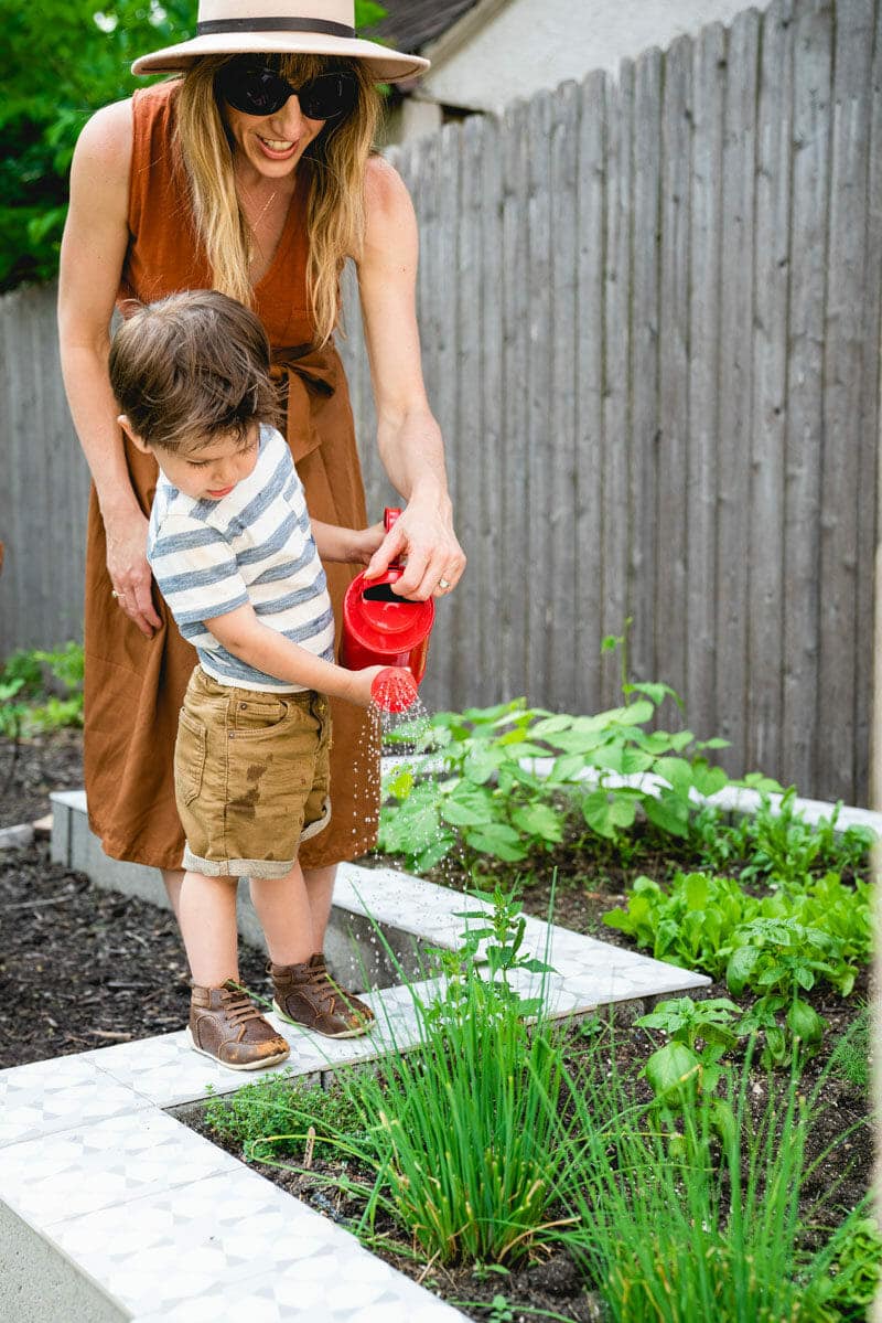 Watering herbs