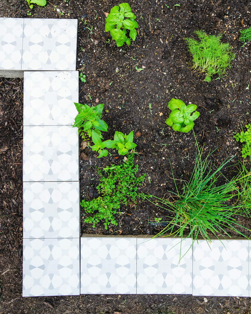 Herb garden