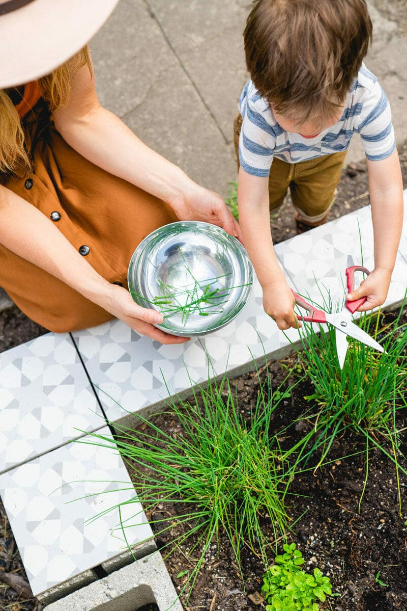 Herb garden