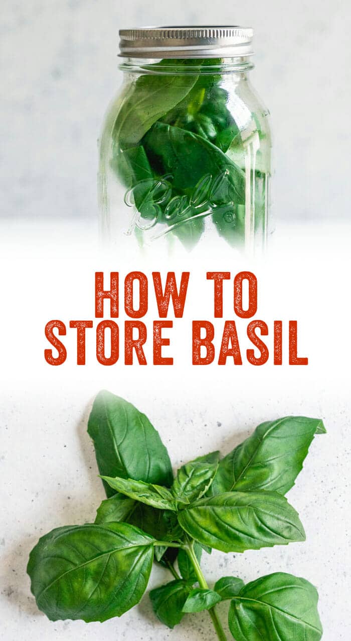 How to Store Fresh Basil A Couple Cooks