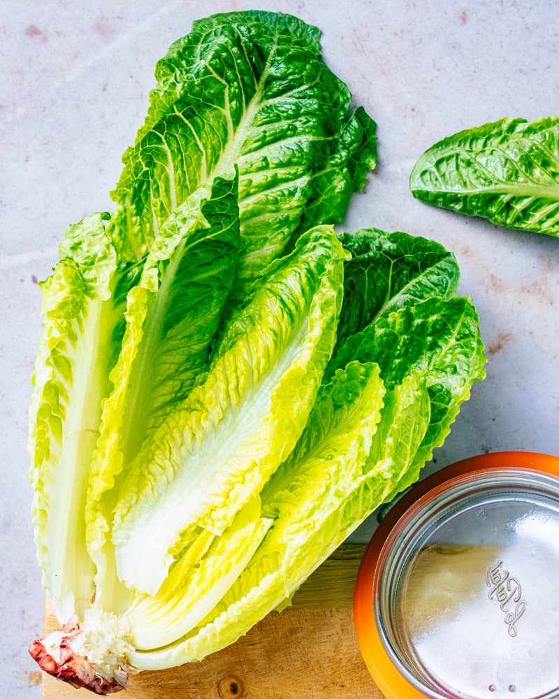 Romaine lettuce