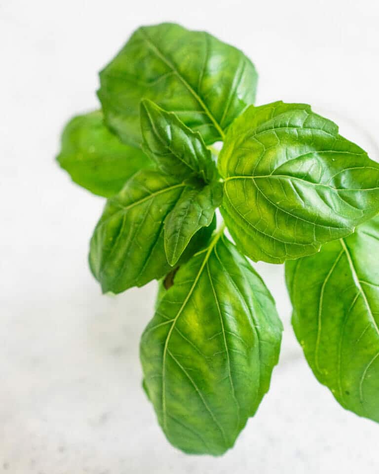 How to Grow Basil (How To & Recipes!) – A Couple Cooks