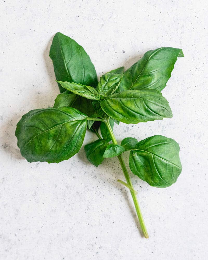 Basil