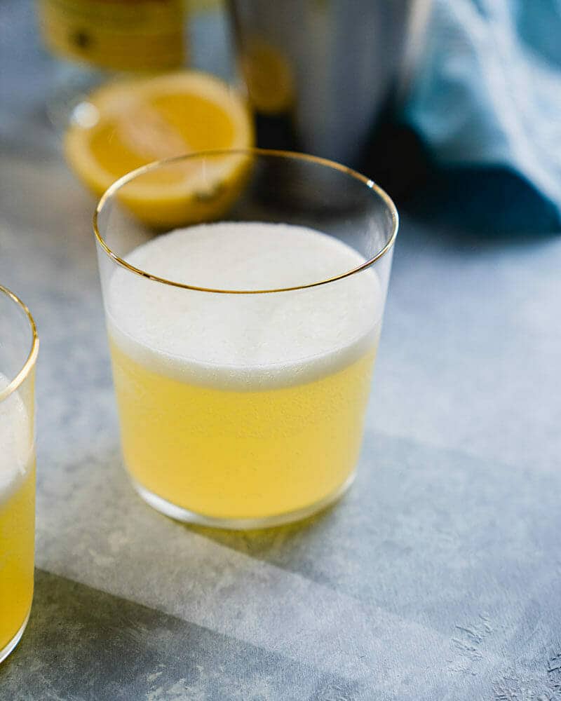 Gin Fizz Cocktail (The Best Gin Cocktail Recipe!) – A Couple Cooks