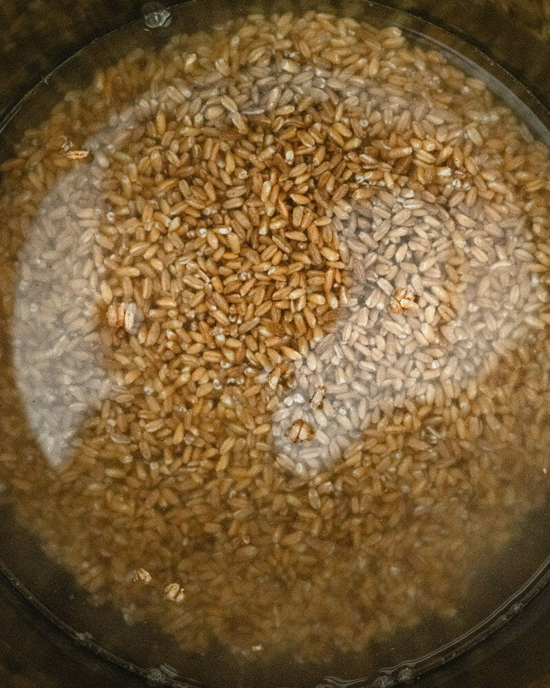 Instant Pot Farro