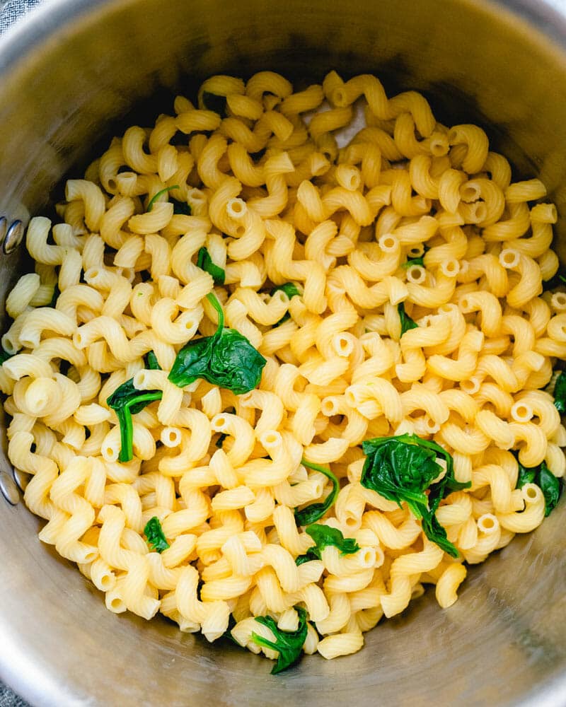 Cavatappi pasta