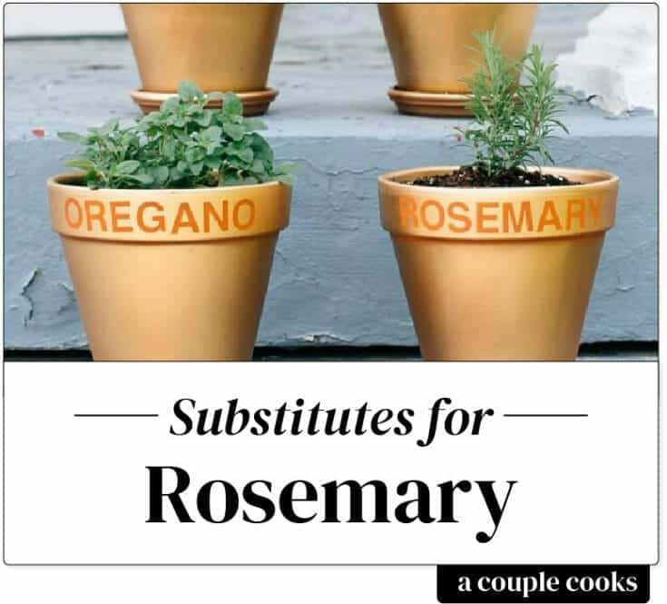 Best Substitute for Rosemary A Couple Cooks