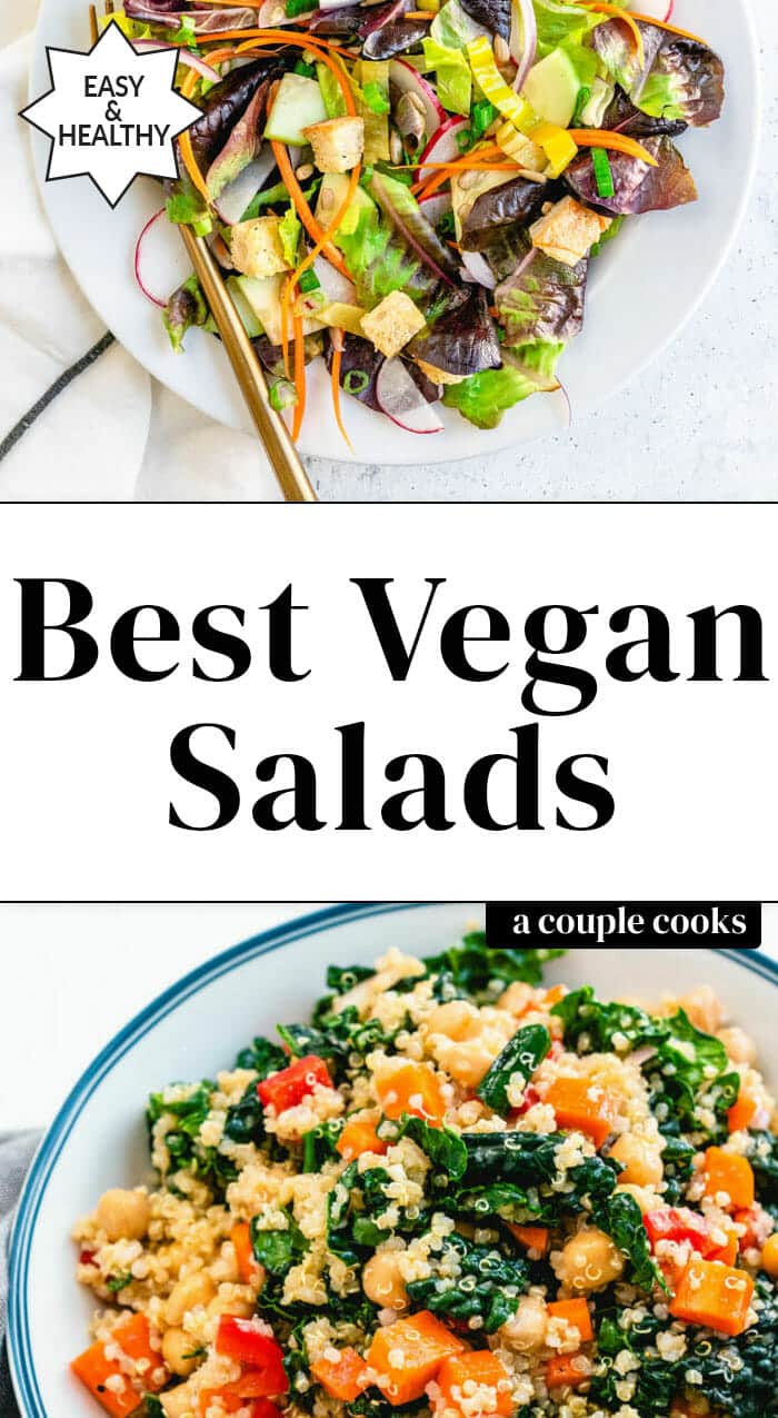 15 Easy Vegan Salad Recipes – A Couple Cooks