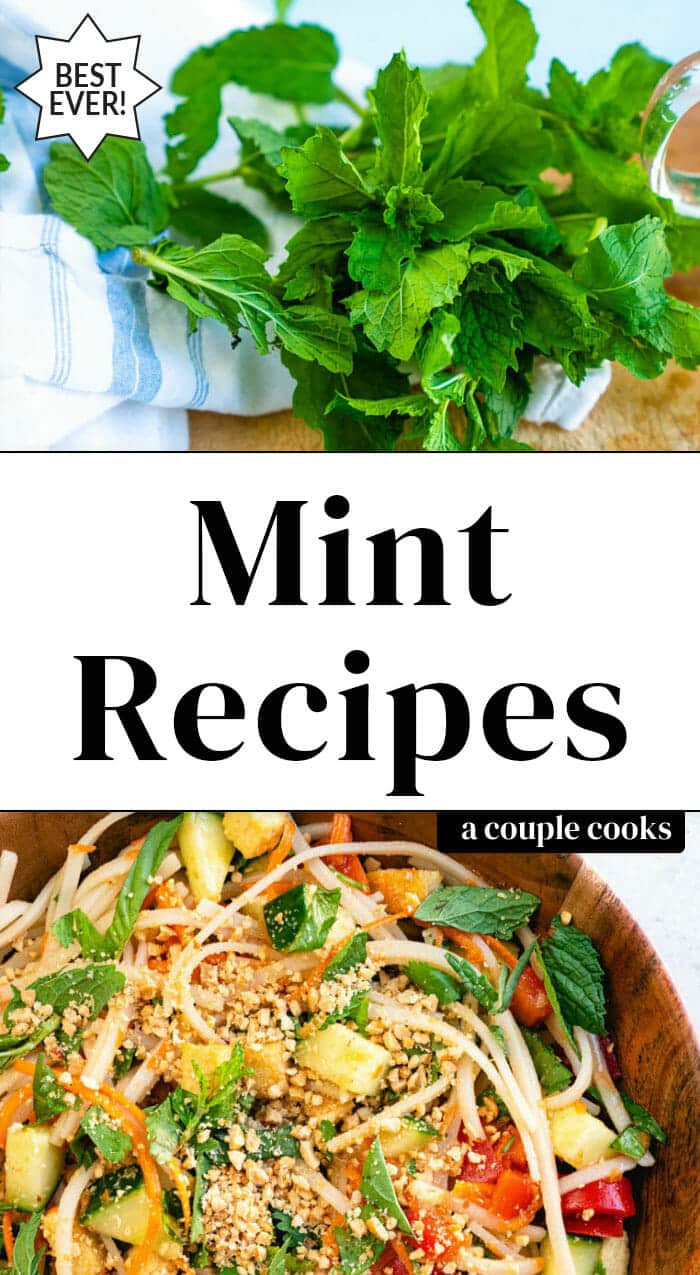 12 Mint Recipes to Try – A Couple Cooks