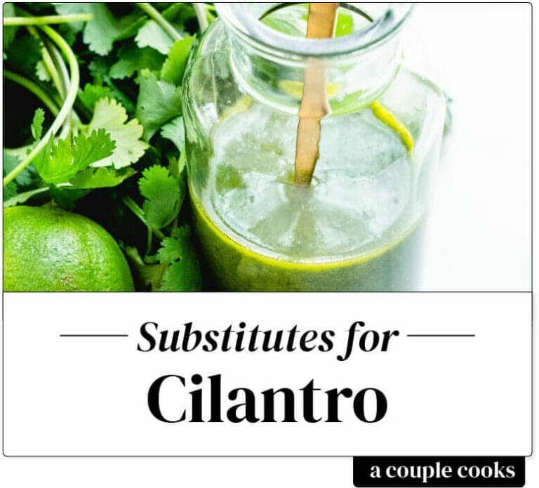 best-cilantro-substitute-a-couple-cooks