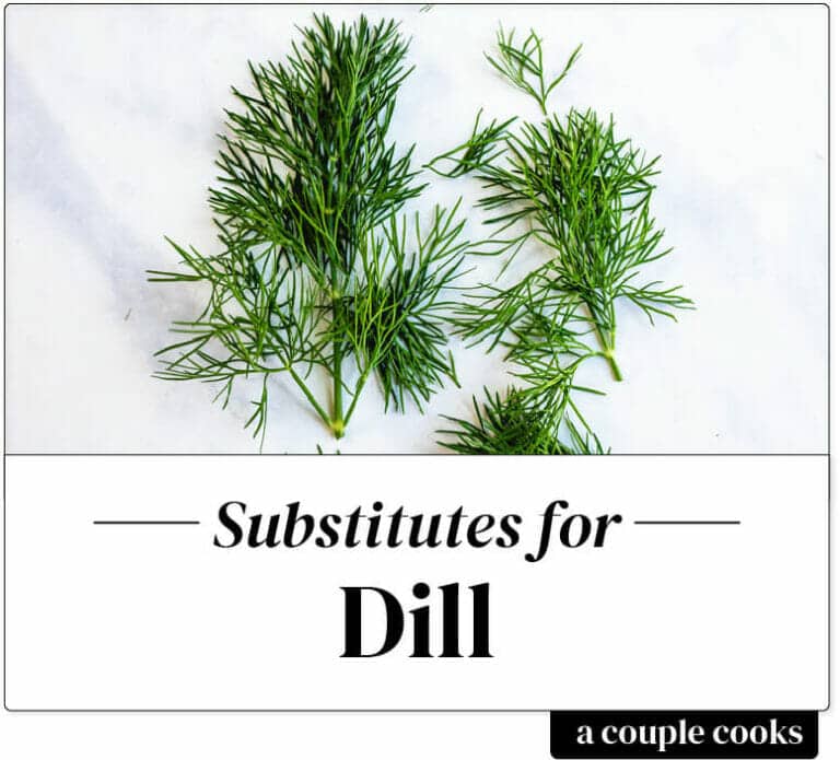 Best Dill Substitute A Couple Cooks