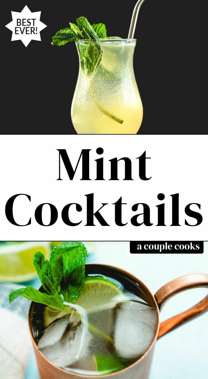 10 Fresh Mint Cocktails A Couple Cooks