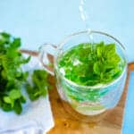 How to make oregano tea