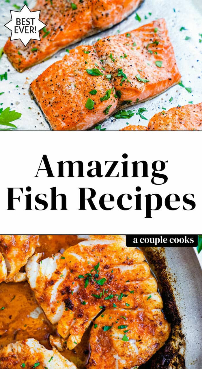 25 Easy Fish Recipes – A Couple Cooks