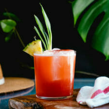 Jungle Bird Cocktail (with Campari!)-image