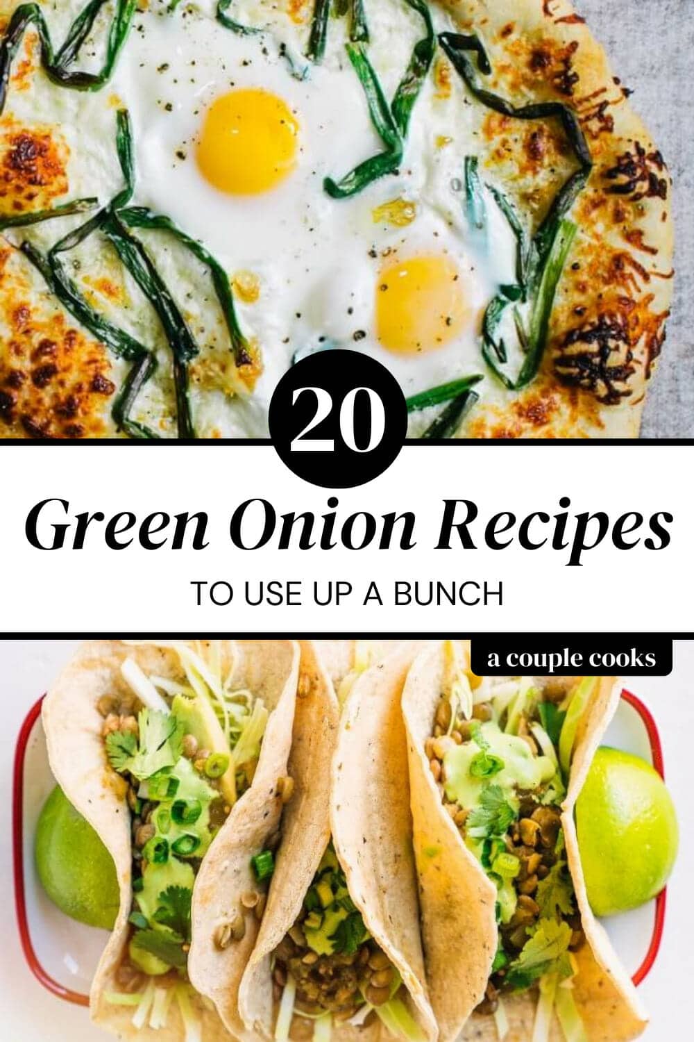 20 Green Onion Recipes to Use Up a Bunch A Couple Cooks