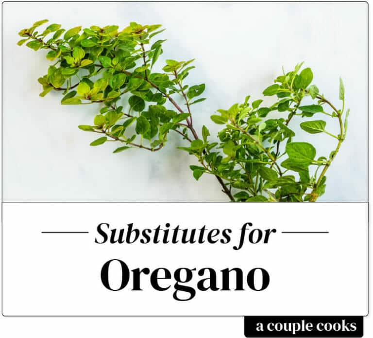 Best Oregano Substitute A Couple Cooks