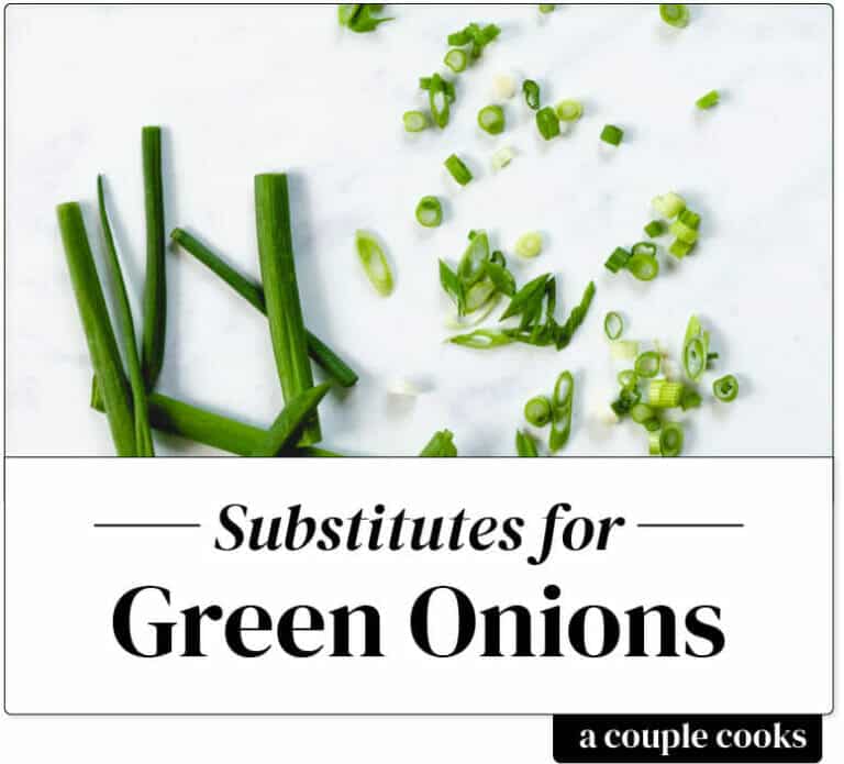 Best Scallion & Green Onion Substitute A Couple Cooks