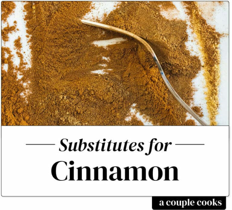 Best Cinnamon Substitute A Couple Cooks