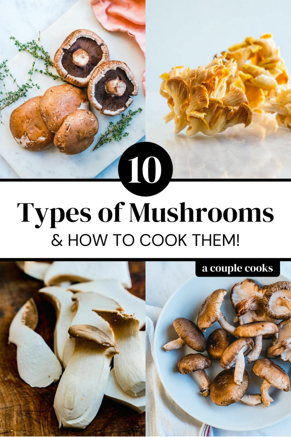 Different Types Of Mushrooms Cooking