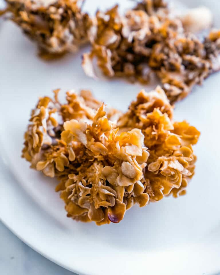 Maitake Mushrooms (Info & Recipe!) A Couple Cooks
