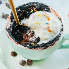 The Ultimate Mug Cake-image