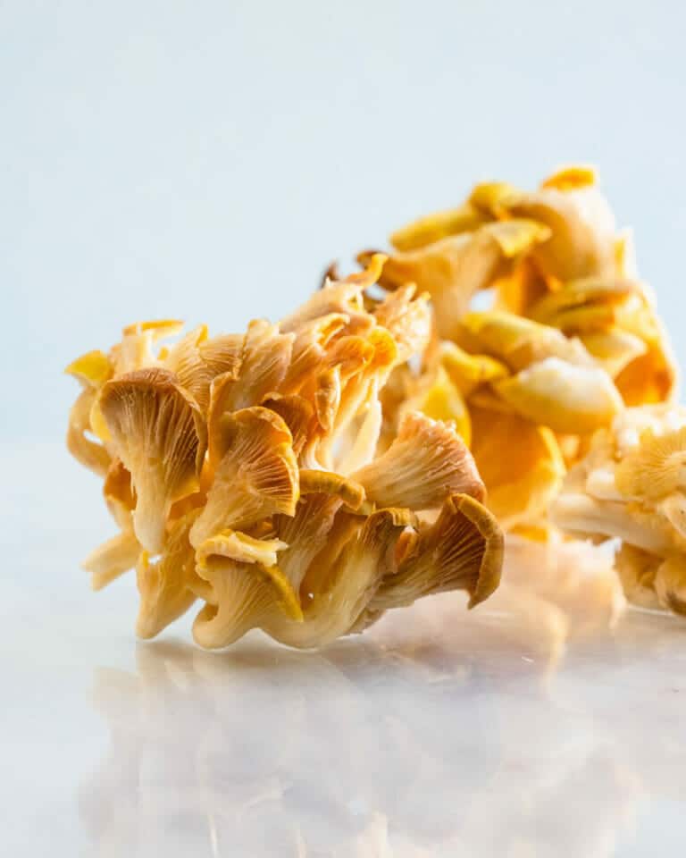 10 Types of Mushrooms (& How to Cook Them!) – A Couple Cooks