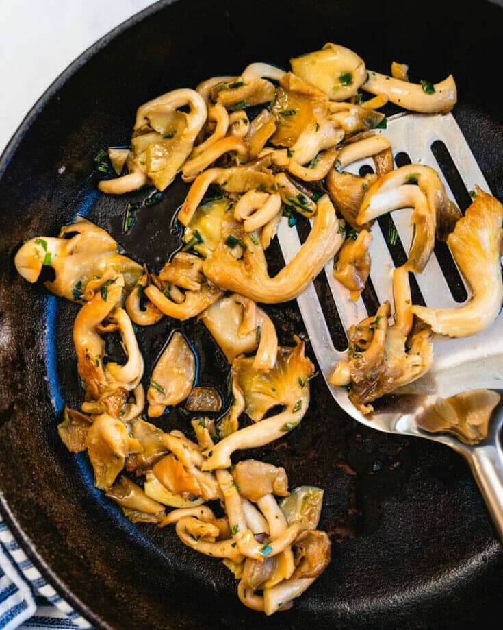 Oyster Mushrooms (Info & Recipe!) A Couple Cooks
