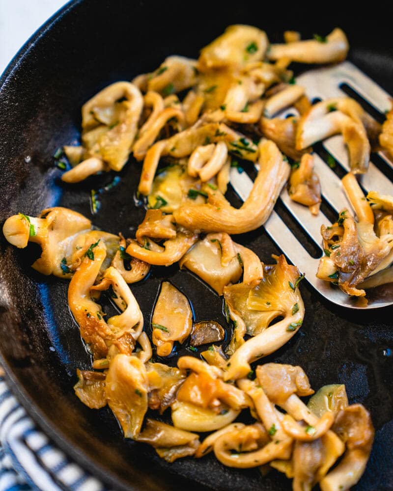 Oyster mushrooms recipe
