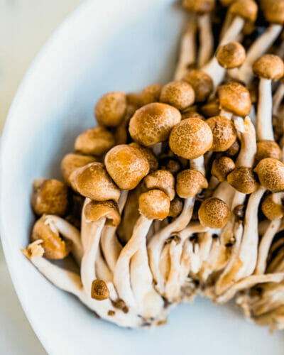 Beech Mushrooms (Info & Recipe!) – A Couple Cooks