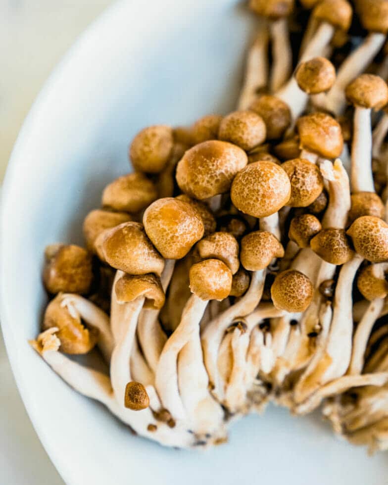 Beech Mushrooms (Info & Recipe!) – A Couple Cooks