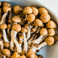 Beech Mushrooms (Info &amp; Recipe!)-image
