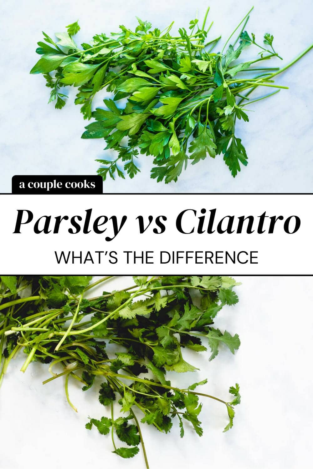 Parsley vs Cilantro A Breakdown! A Couple Cooks