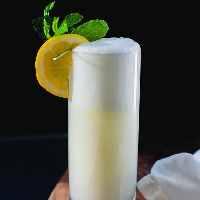 Make a Classic Gin Fizz Cocktail Recipe