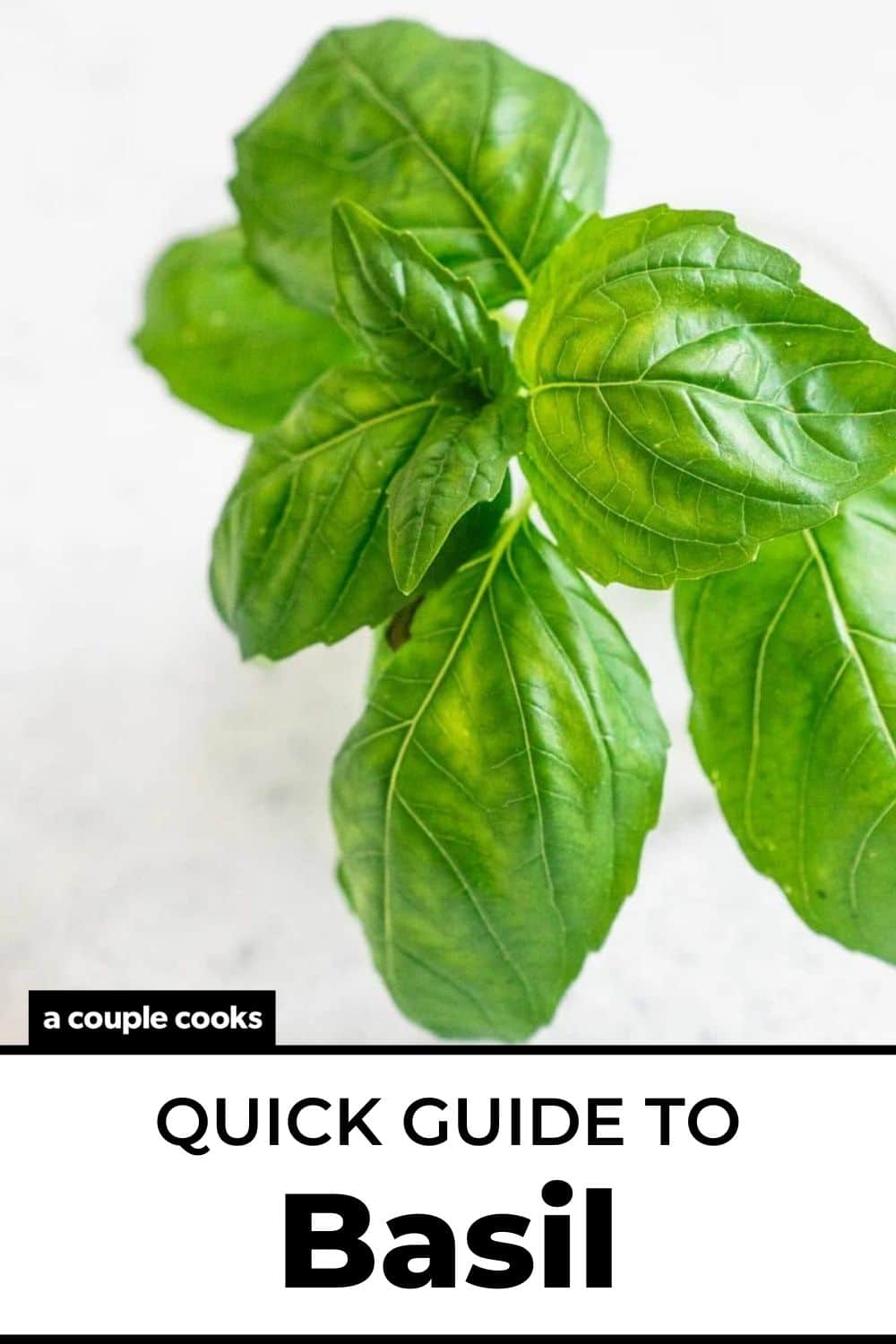 Quick Guide to Basil A Couple Cooks