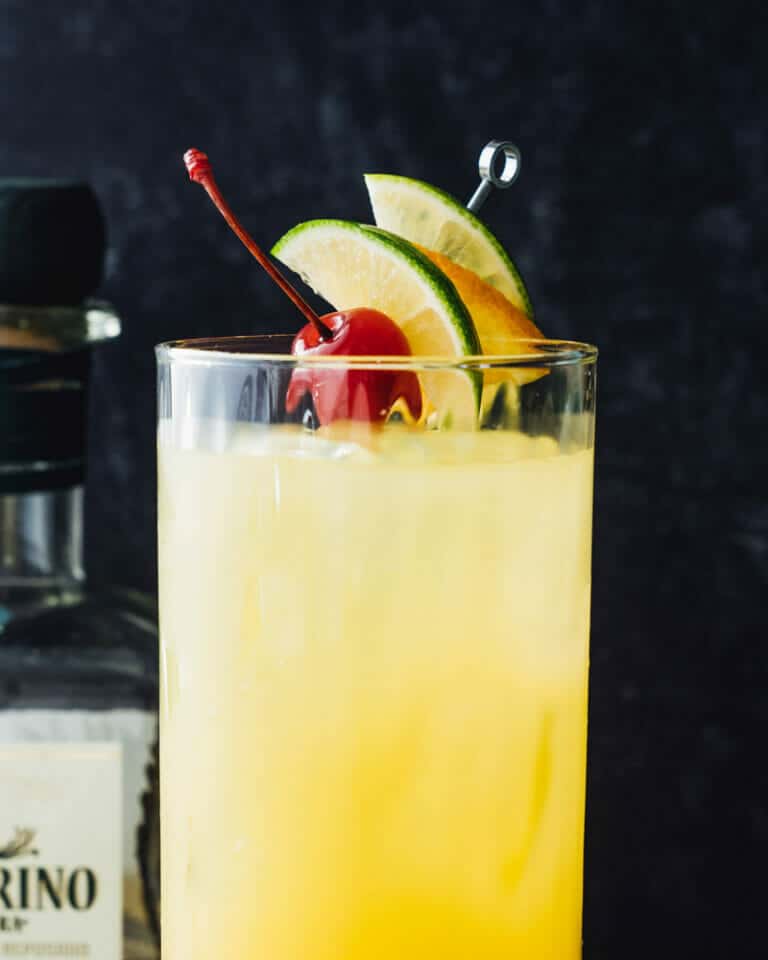 What to Mix with Tequila (2 Ingredient Drinks!) A Couple Cooks