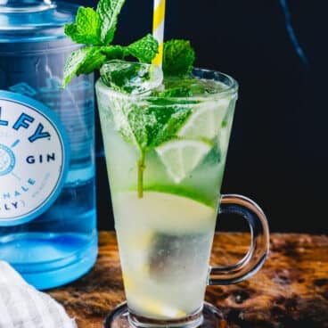 Gin Mojito
