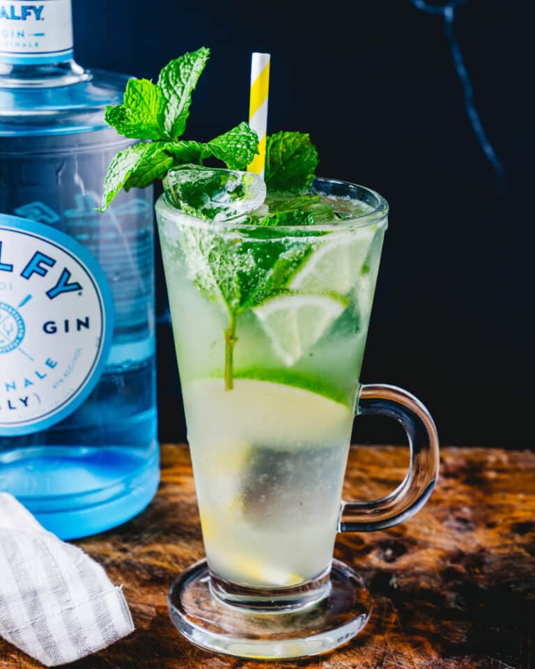 Gin Mojito A Couple Cooks