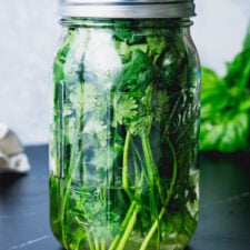 How to Store Cilantro-image