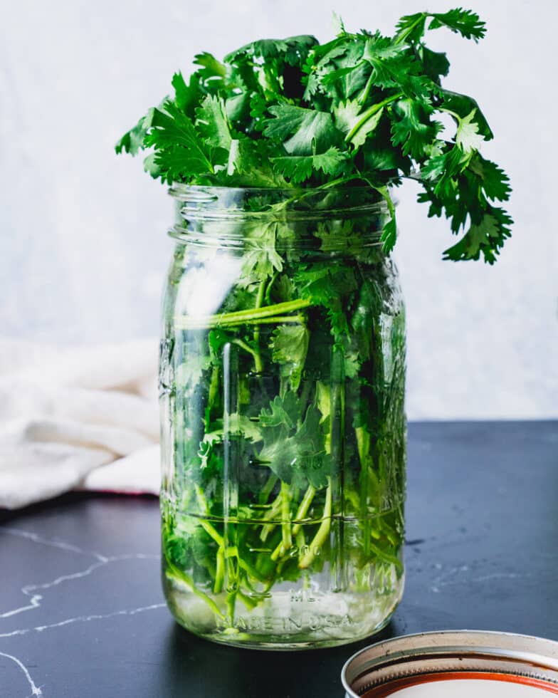 How to Store Cilantro A Couple Cooks