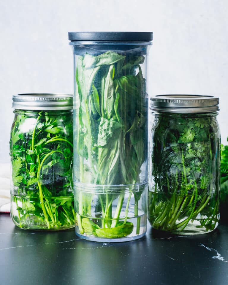 How to Store Cilantro A Couple Cooks