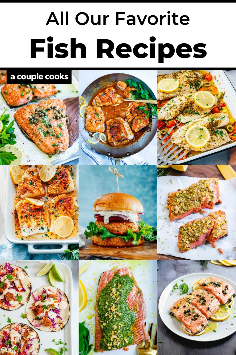 25 Easy Fish Recipes – A Couple Cooks