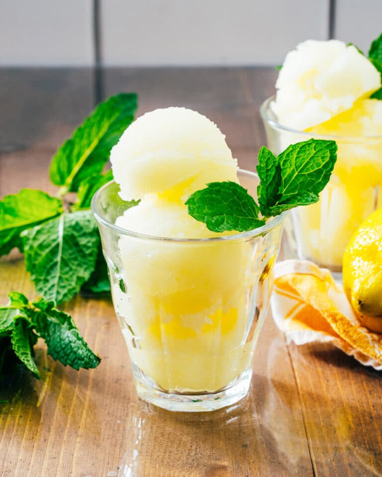 8 Great Sorbet Recipes – A Couple Cooks